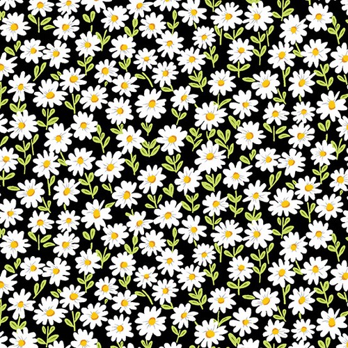Andover sunny bee daisies - sunny,